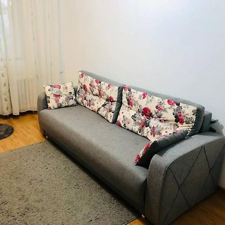 Nice Apt Near Spitalul Judetean, All You Need Lr14 ティミショアラ エクステリア 写真