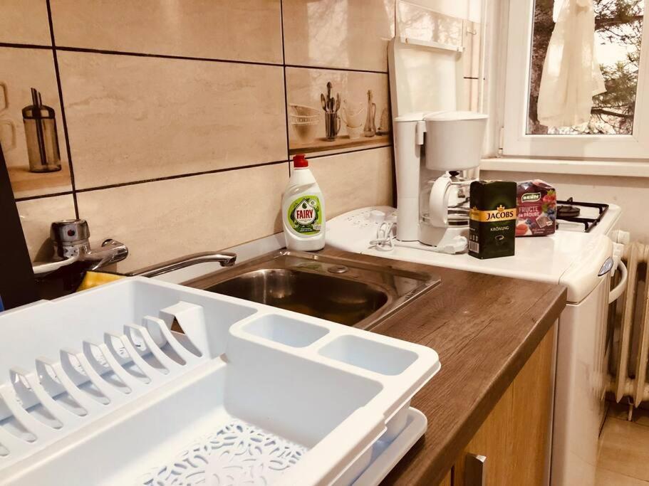 Nice Apt Near Spitalul Judetean, All You Need Lr14 ティミショアラ エクステリア 写真