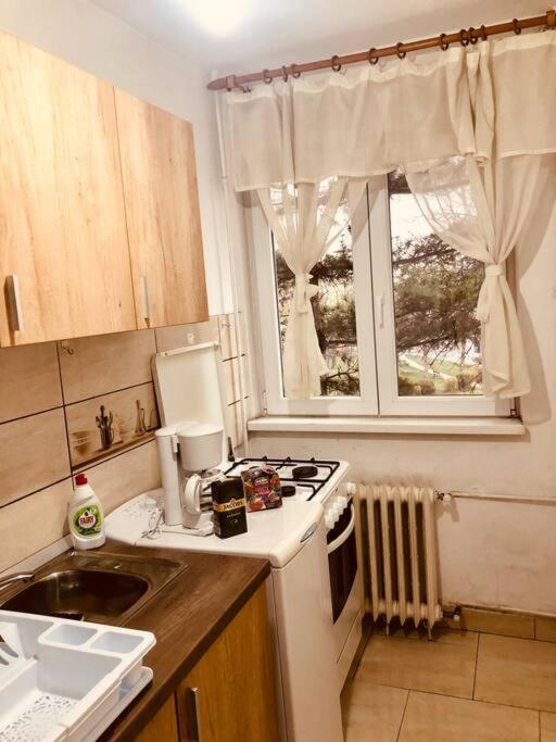 Nice Apt Near Spitalul Judetean, All You Need Lr14 ティミショアラ エクステリア 写真