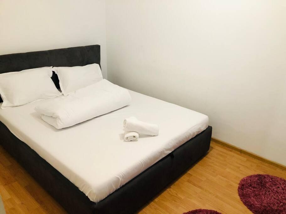 Nice Apt Near Spitalul Judetean, All You Need Lr14 ティミショアラ エクステリア 写真