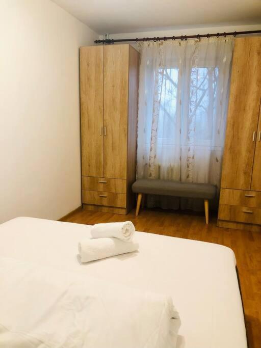 Nice Apt Near Spitalul Judetean, All You Need Lr14 ティミショアラ エクステリア 写真