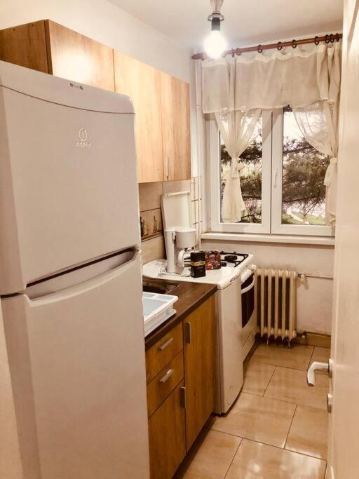 Nice Apt Near Spitalul Judetean, All You Need Lr14 ティミショアラ エクステリア 写真