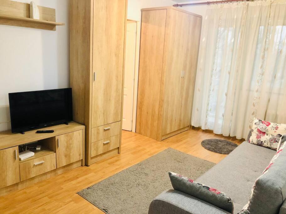 Nice Apt Near Spitalul Judetean, All You Need Lr14 ティミショアラ エクステリア 写真