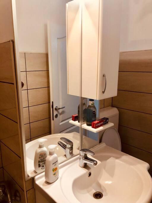 Nice Apt Near Spitalul Judetean, All You Need Lr14 ティミショアラ エクステリア 写真