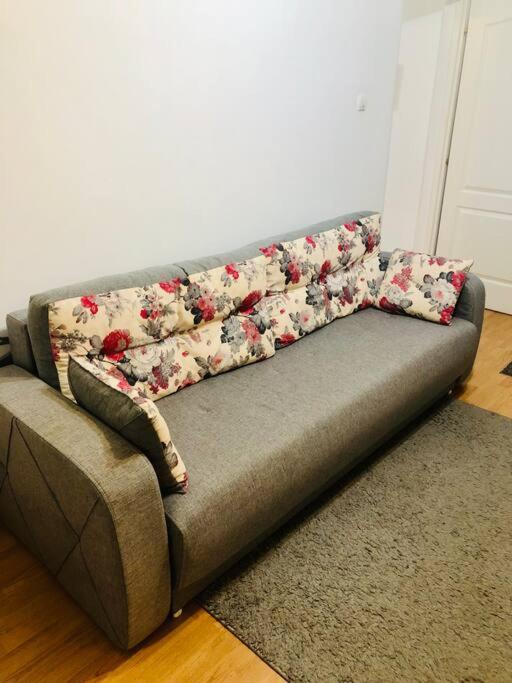 Nice Apt Near Spitalul Judetean, All You Need Lr14 ティミショアラ エクステリア 写真