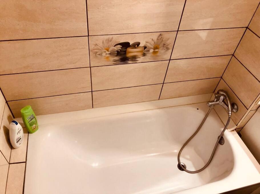 Nice Apt Near Spitalul Judetean, All You Need Lr14 ティミショアラ エクステリア 写真
