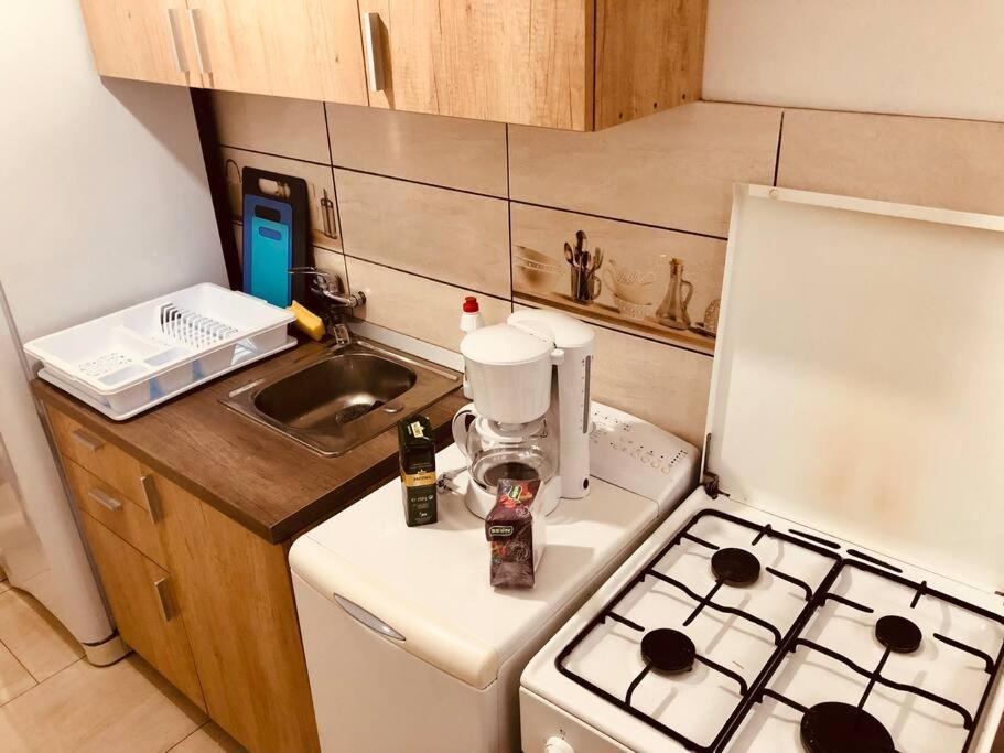 Nice Apt Near Spitalul Judetean, All You Need Lr14 ティミショアラ エクステリア 写真