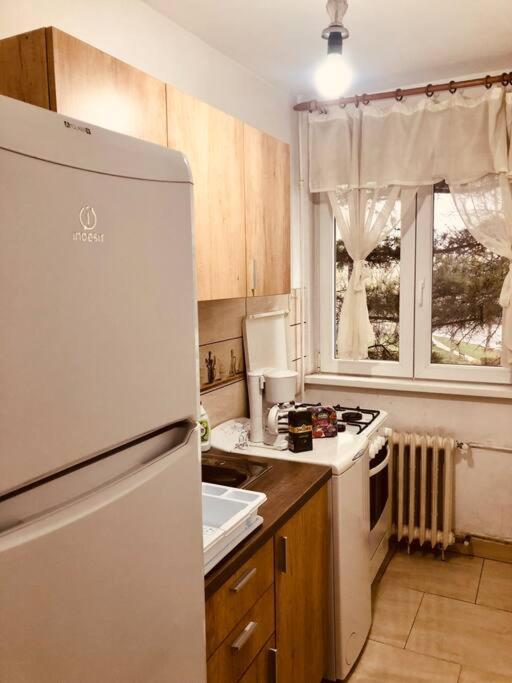 Nice Apt Near Spitalul Judetean, All You Need Lr14 ティミショアラ エクステリア 写真